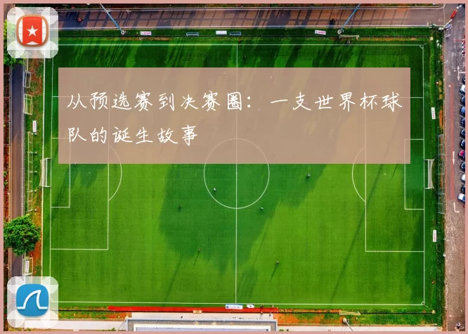 从预选赛到决赛圈：一支世界杯球队的诞生故事