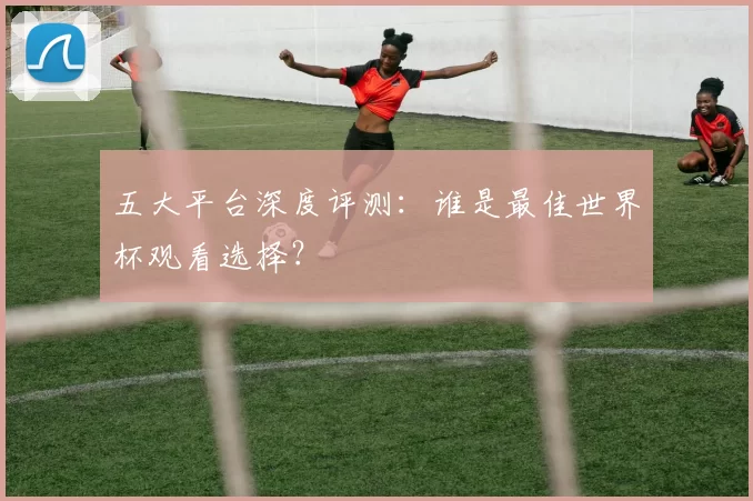 五大平台深度评测:谁是最佳世界杯观看选择?