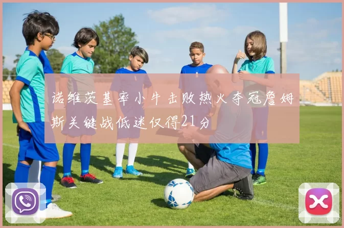 诺维茨基率小牛击败热火夺冠詹姆斯关键战低迷仅得21分