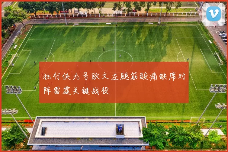 独行侠九号欧文左腿筋酸痛缺席对阵雷霆关键战役