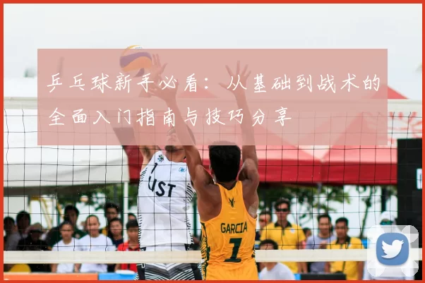 乒乓球新手必看：从基础到战术的全面入门指南与技巧分享