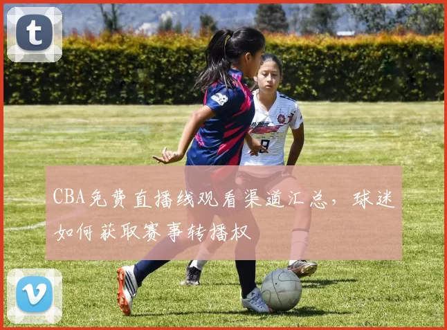 CBA免费直播线观看渠道汇总,球迷如何获取赛事转播权