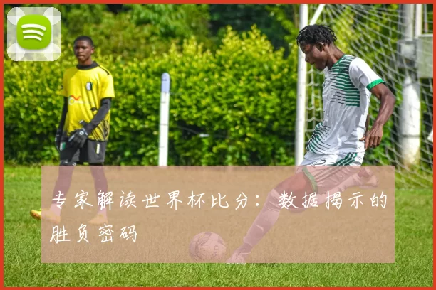 专家解读世界杯比分：数据揭示的胜负密码
