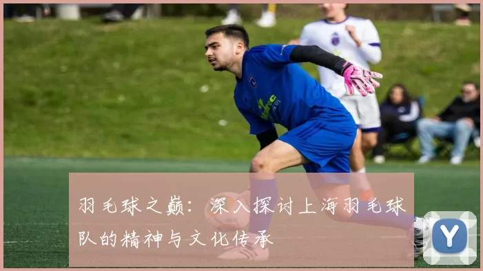 羽毛球之巅:深入探讨上海羽毛球队的精神与文化传承
