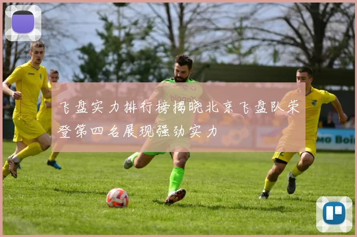 飞盘实力排行榜揭晓北京飞盘队荣登第四名展现强劲实力
