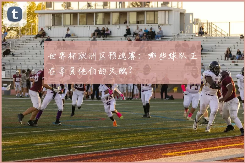 世界杯欧洲区预选赛:哪些球队正在辜负他们的天赋?