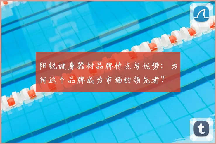 阳锐健身器材品牌特点与优势:为何这个品牌成为市场的领先者?