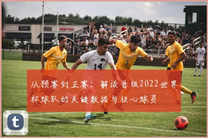 从预赛到正赛:解读晋级2022世界杯球队的关键数据与核心球员