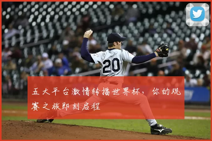 五大平台激情转播世界杯，你的观赛之旅即刻启程